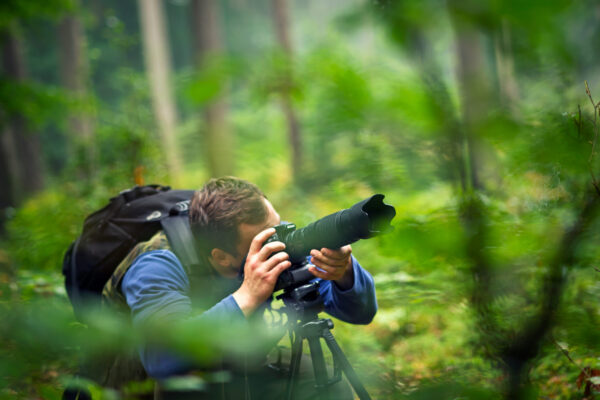 Man photographing in the forest